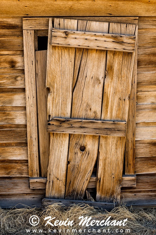 CI_032715_5D_III-48.jpg