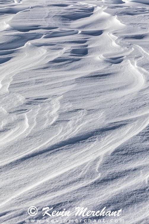 PA_021918_5D_IV-17.jpg