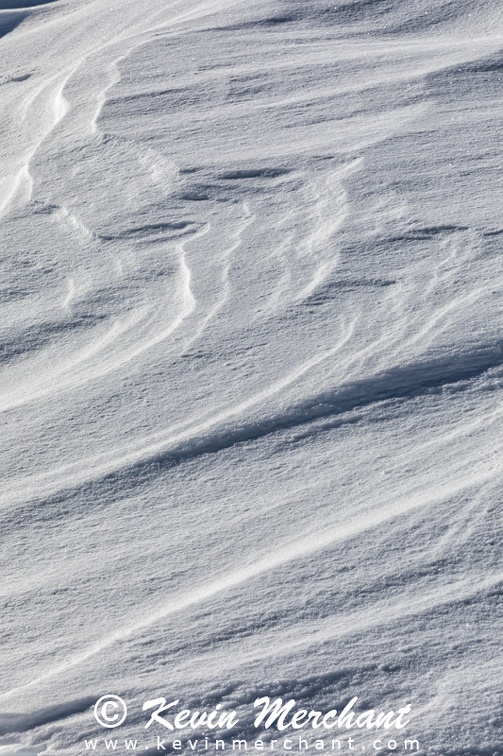 PA_021918_5D_IV-19.jpg