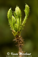 PL 041808 5D-1