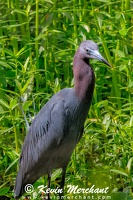 B 041424 R7-517