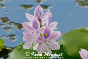FL 041424 R7-27