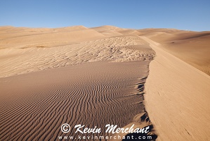 May_14_2025