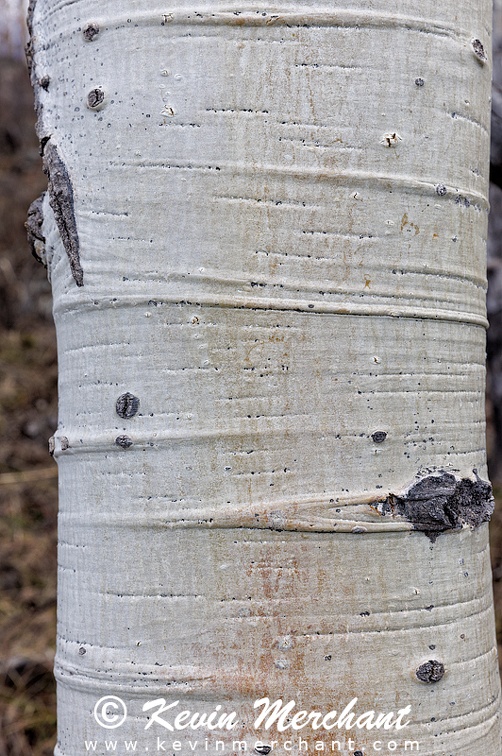 PL_042024_R5-118.jpg