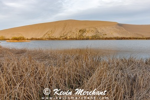 D 042124 R5-22-FOCUS