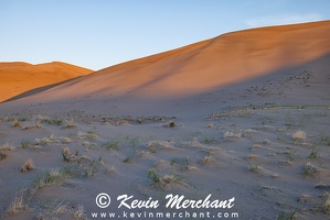 D 042324 R5-8-FOCUS