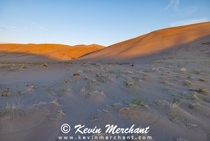 D 042324 R5-14-FOCUS