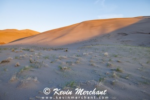 D 042324 R5-17-FOCUS