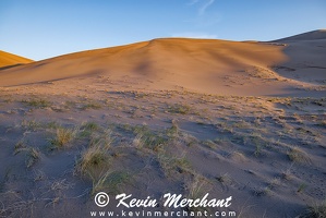 D 042324 R5-29-FOCUS