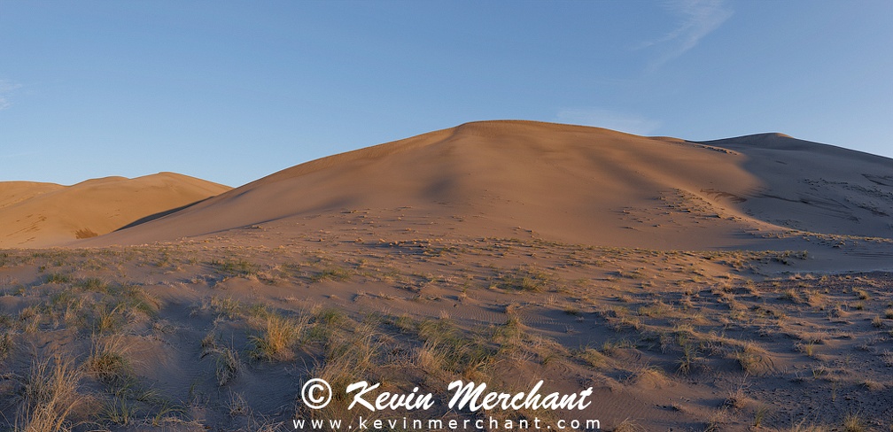 D_042324_R5-35-FOCUS_Panorama.jpg