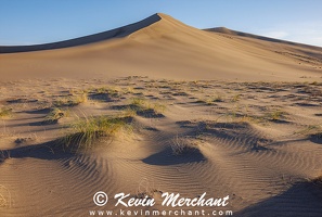 June_4_2025