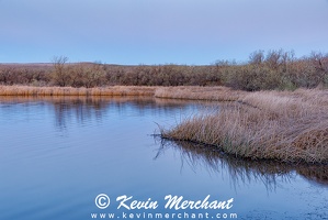 LK 042224 R5-8-FOCUS