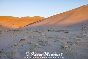 D 042324 R5-11-FOCUS