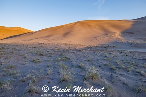 D 042324 R5-23-FOCUS