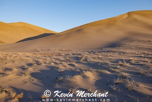 D 042324 R5-96-FOCUS