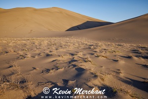 D 042324 R5-116-FOCUS