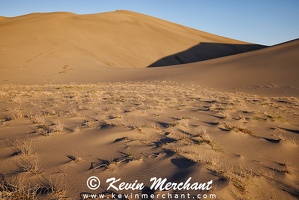 D 042324 R5-119-FOCUS