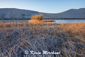 LK 042224 R5-77-FOCUS