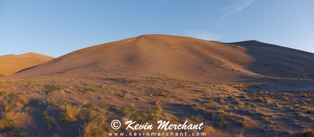 D_042324_R5-61-FOCUS_Panorama.jpg