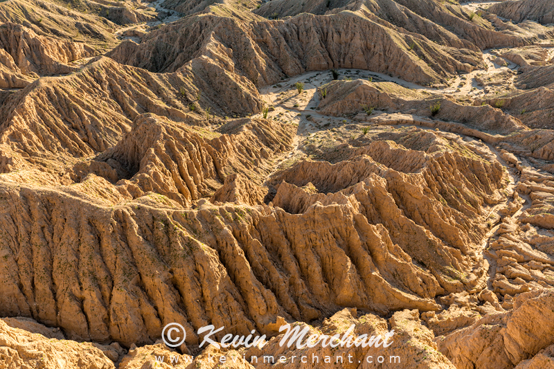 MN_030217_5D_III-56.jpg