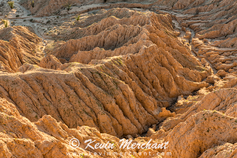 MN_030217_5D_III-62.jpg