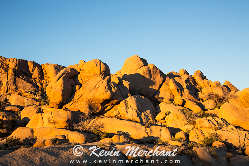 NP_030617_5D_III-16.jpg