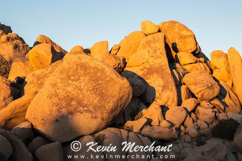 NP_030617_5D_III-18.jpg