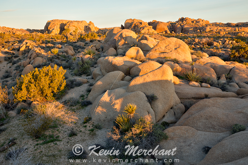 NP_030717_5D_III-15-HDR.jpg