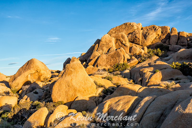 NP_030717_5D_III-31.jpg