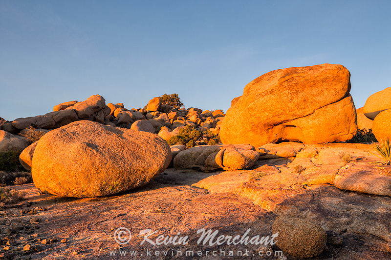 NP_030817_5D_III-14.jpg
