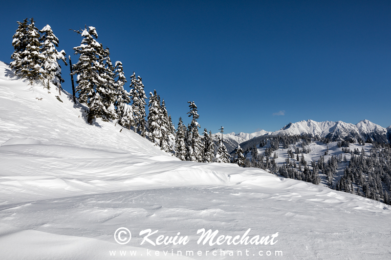 MN_021918_5D_IV-30.jpg