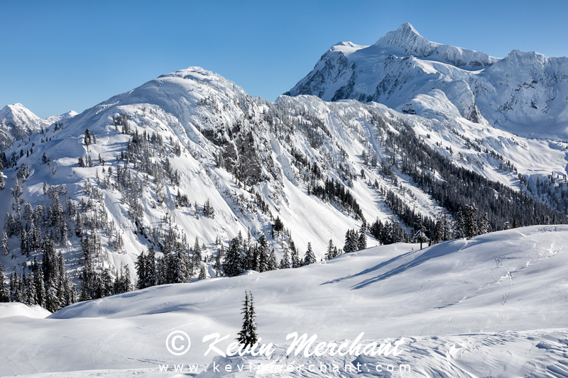 MN_021918_5D_IV-35-HDR.jpg