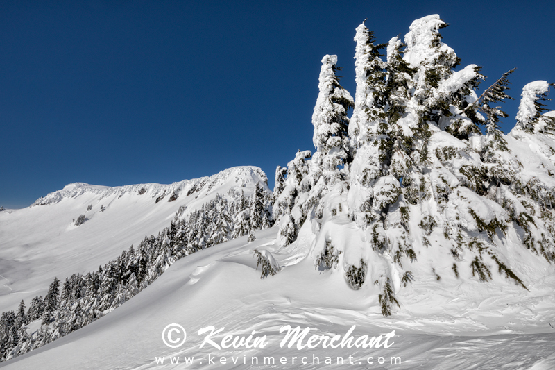 MN_021918_5D_IV-47.jpg