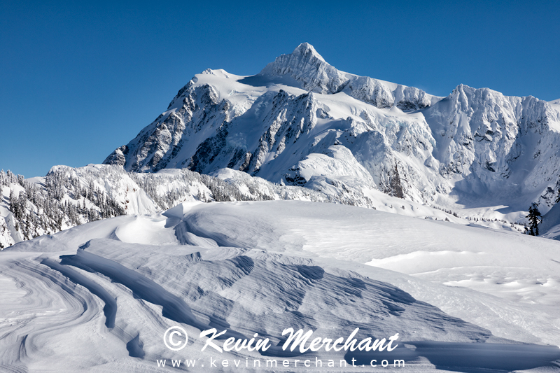 MN_021918_5D_IV-107.jpg