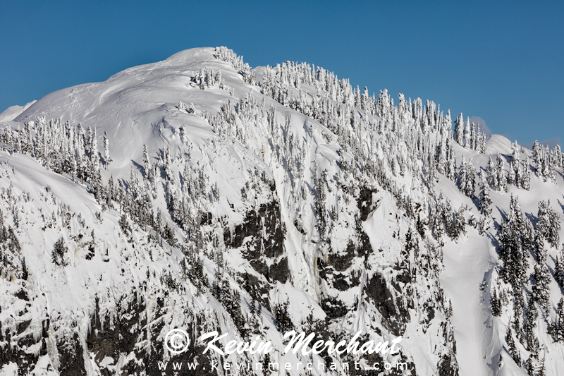 MN_021918_5D_IV-135.jpg