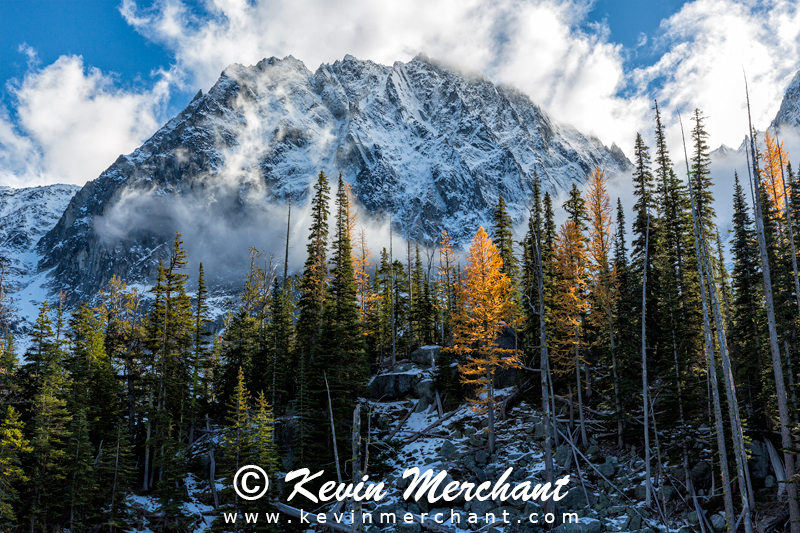 MN_102216_5D_III-48.jpg