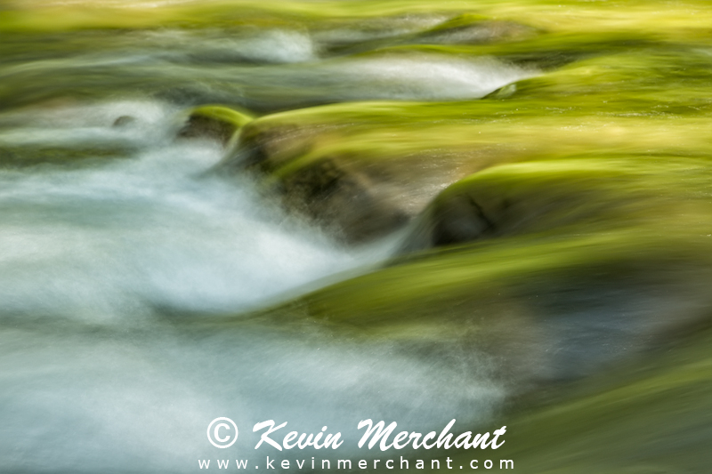 ST_072612_5D_III-5.jpg