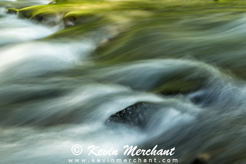 ST_072612_5D_III-8.jpg