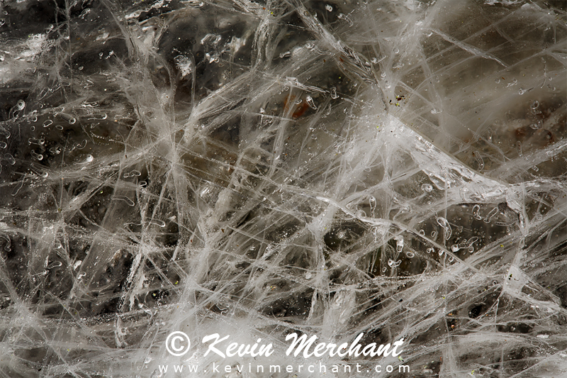 WS_111214_5D_III-8_Focus.jpg