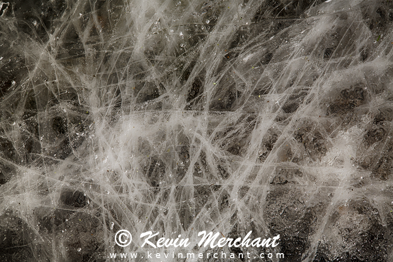 WS_111214_5D_III-26_Focus.jpg