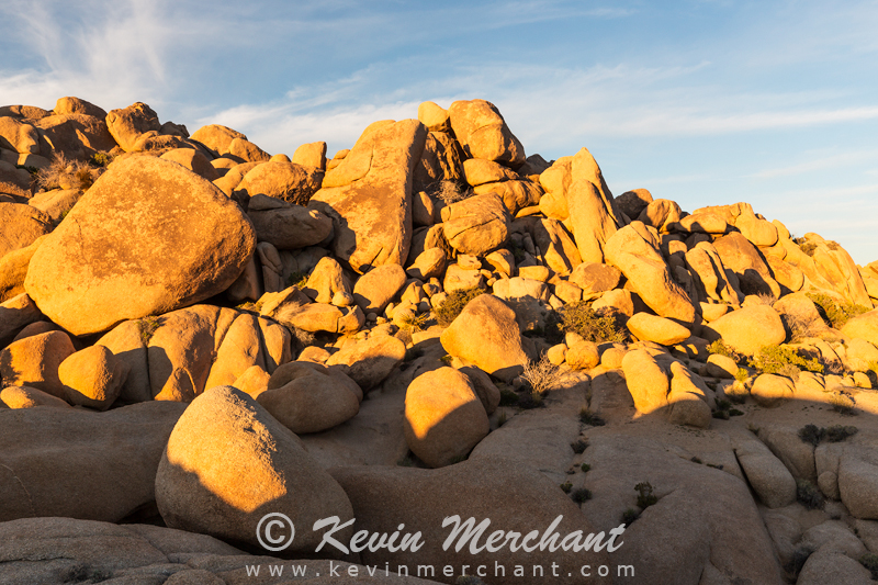 NP_031117_5D_III-63.jpg