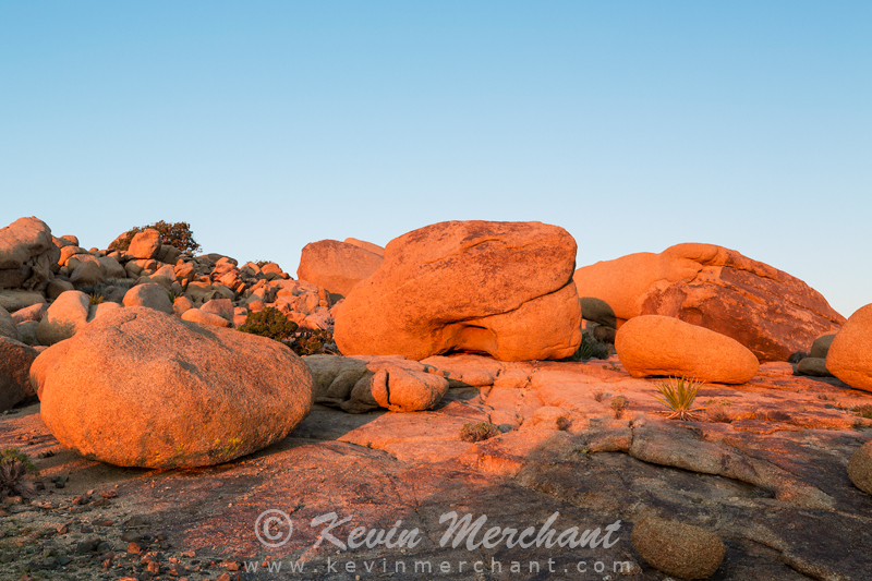 NP_031317_5D_III-22.jpg
