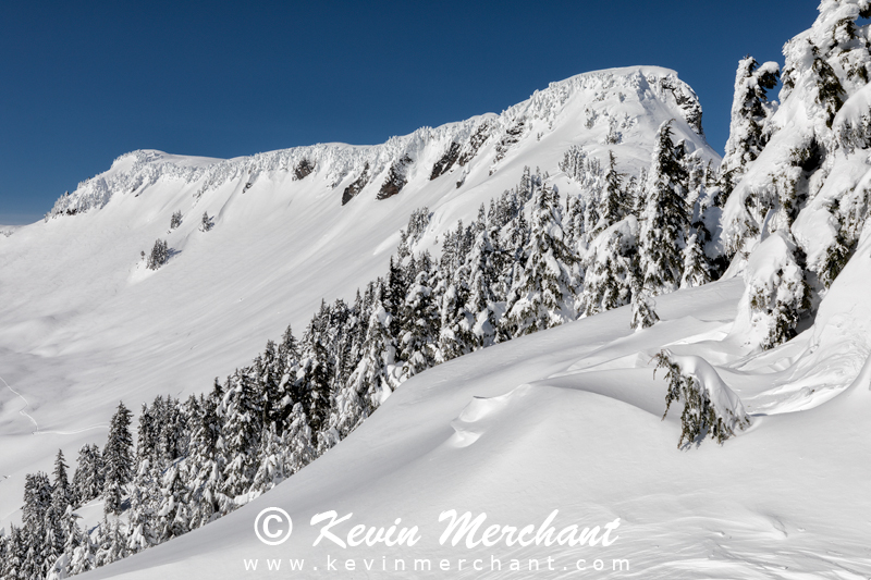 MN_021918_5D_IV-50.jpg