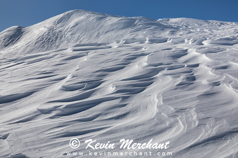 PA_021918_5D_IV-1.jpg