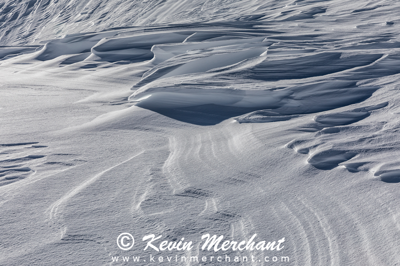 PA_021918_5D_IV-6.jpg