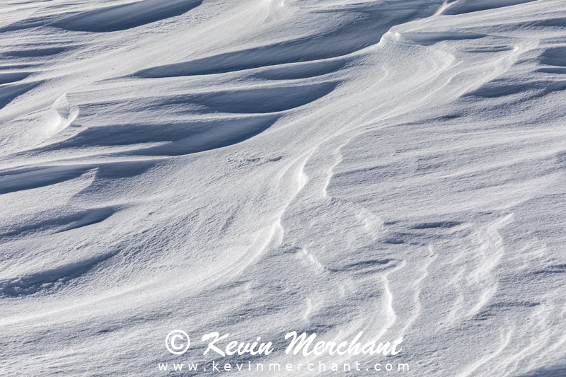 PA_021918_5D_IV-14.jpg