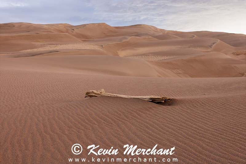 NP_041924_R5-56-FOCUS.jpg
