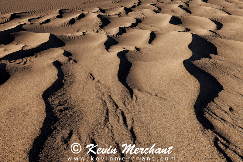 NP_041624_R5-15-FOCUS.jpg