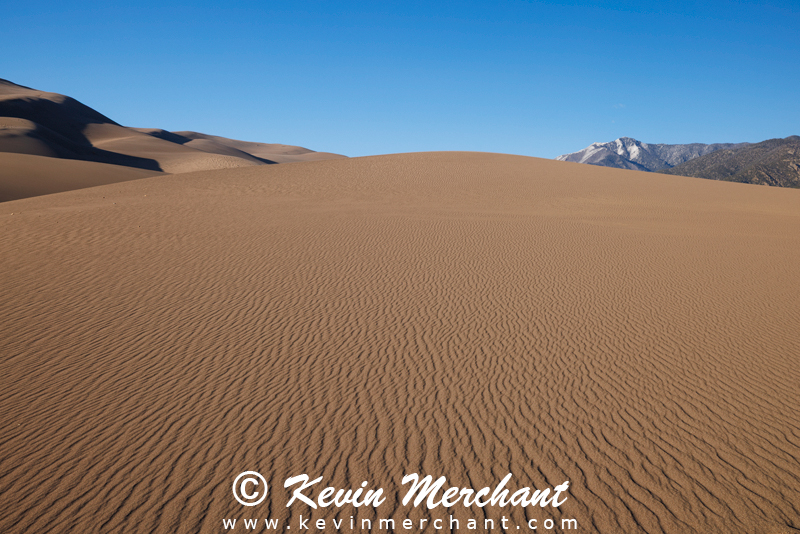 NP_041624_R5-33-FOCUS.jpg