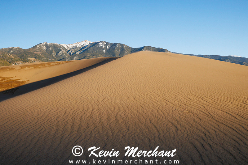 NP_041624_R5-110-FOCUS.jpg